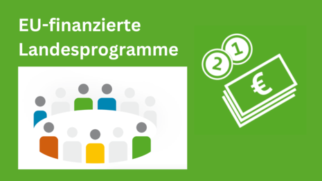 grüner Hintergrund darauf ein Piktogramm einer Gruppe Personen an einem runden Tisch sitzend, da neben ein Piktogramm welches Geld darstellt sowie die Aufschrift Eu-finanziere Landesprogramme