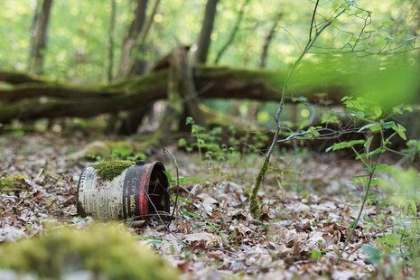 Eine leere zerbeulte Konservendose liegt im Wald.