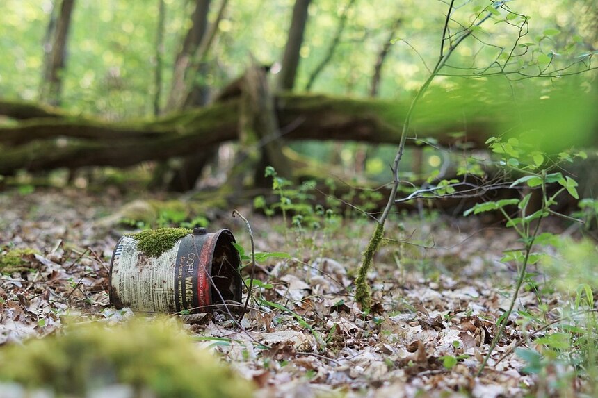 Dose im Wald liegend.