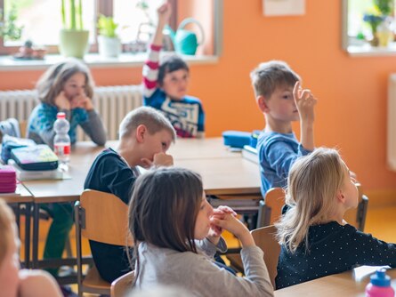 Viele Kinder sitzen an Schultischen und manche Melden sich