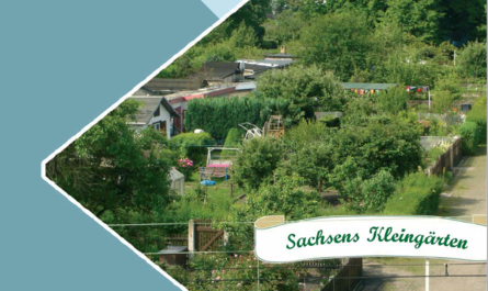 Bild einer Kleingartenanlage mit vielen Bäumen.