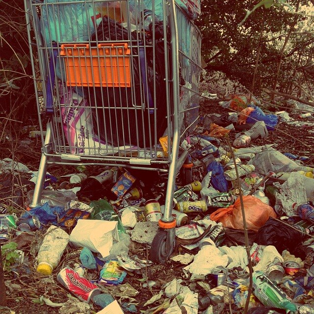 ein Einkaufswagen im Wald mit viel Plastikmüll gefüllt und rings herum 